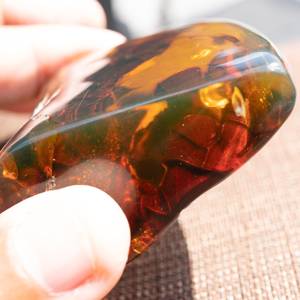 Dominican Green Amber Vegetable Fossil