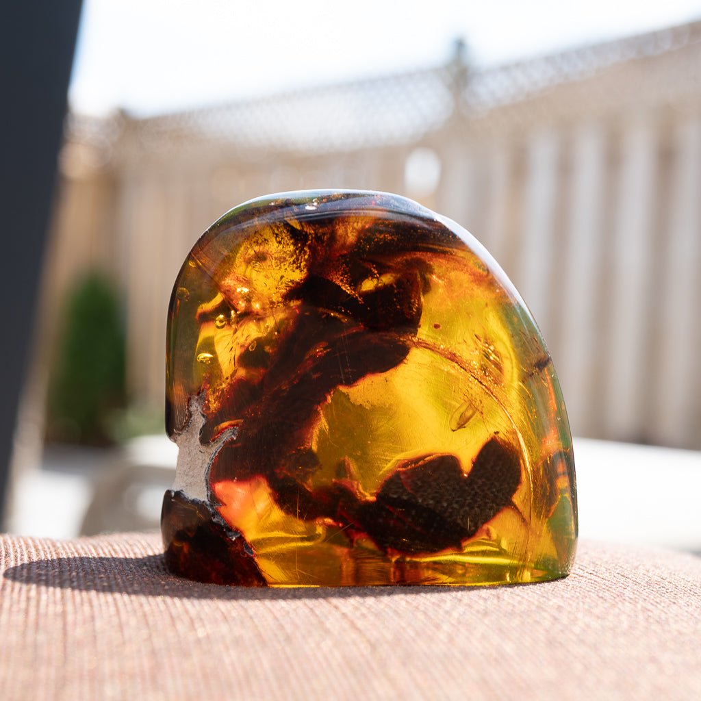 Dominican Green Amber Vegetable Fossil