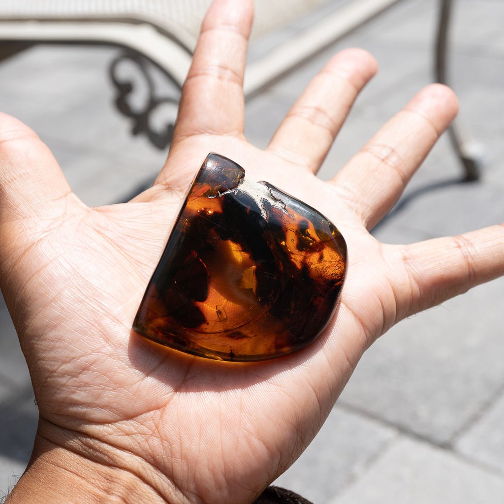 Dominican Green Amber Vegetable Fossil