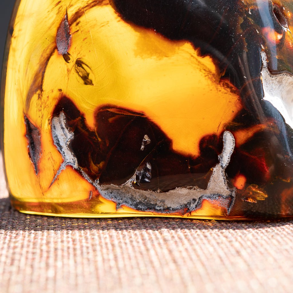 Dominican Green Amber Vegetable Fossil