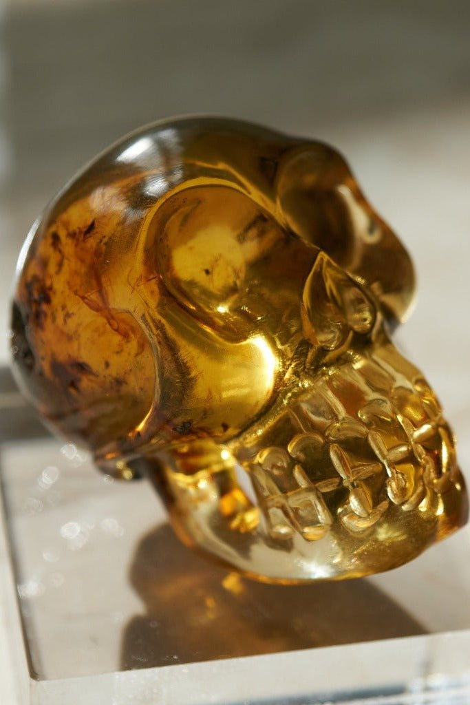 Authentic Dominican Green Amber Hand-Carved Skull - Unique & Stunning Collectible! - Larimar Creations