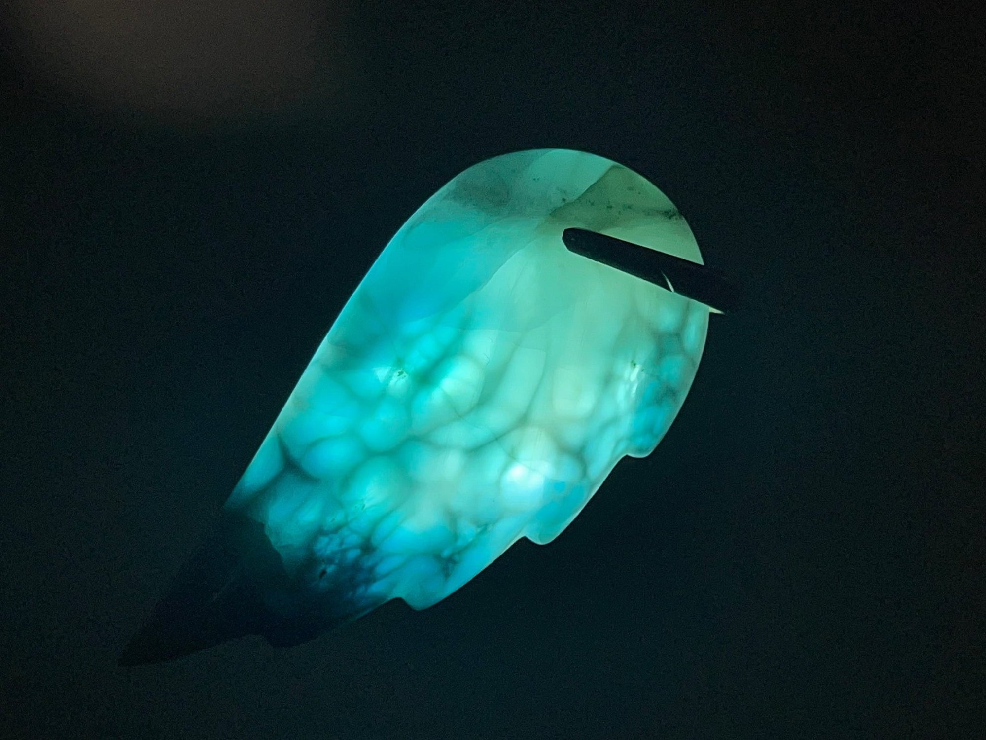 Larimar Pendant Angel Wings Turtleback pattern AAA II - Larimar Creations