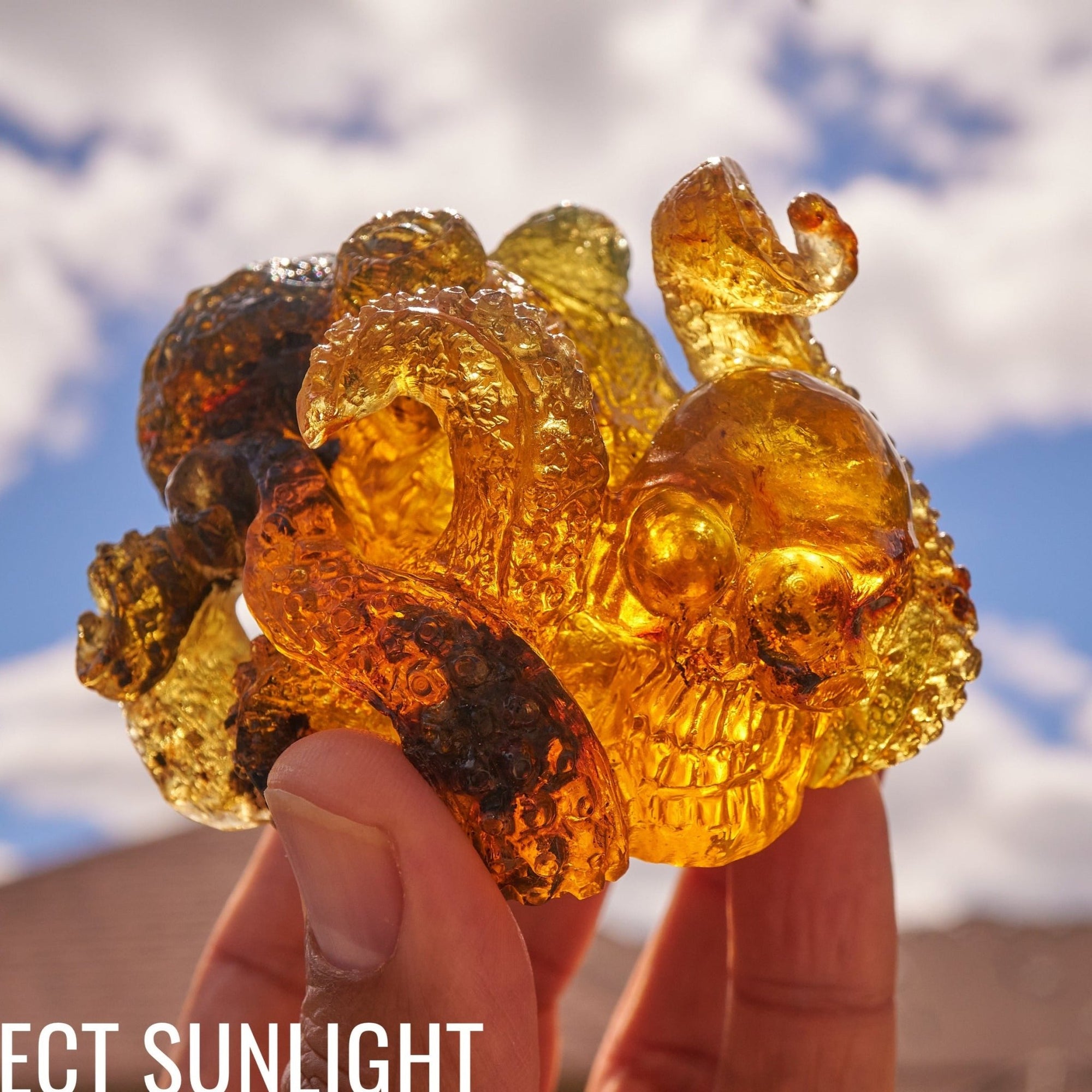 octopus amber dominican carving