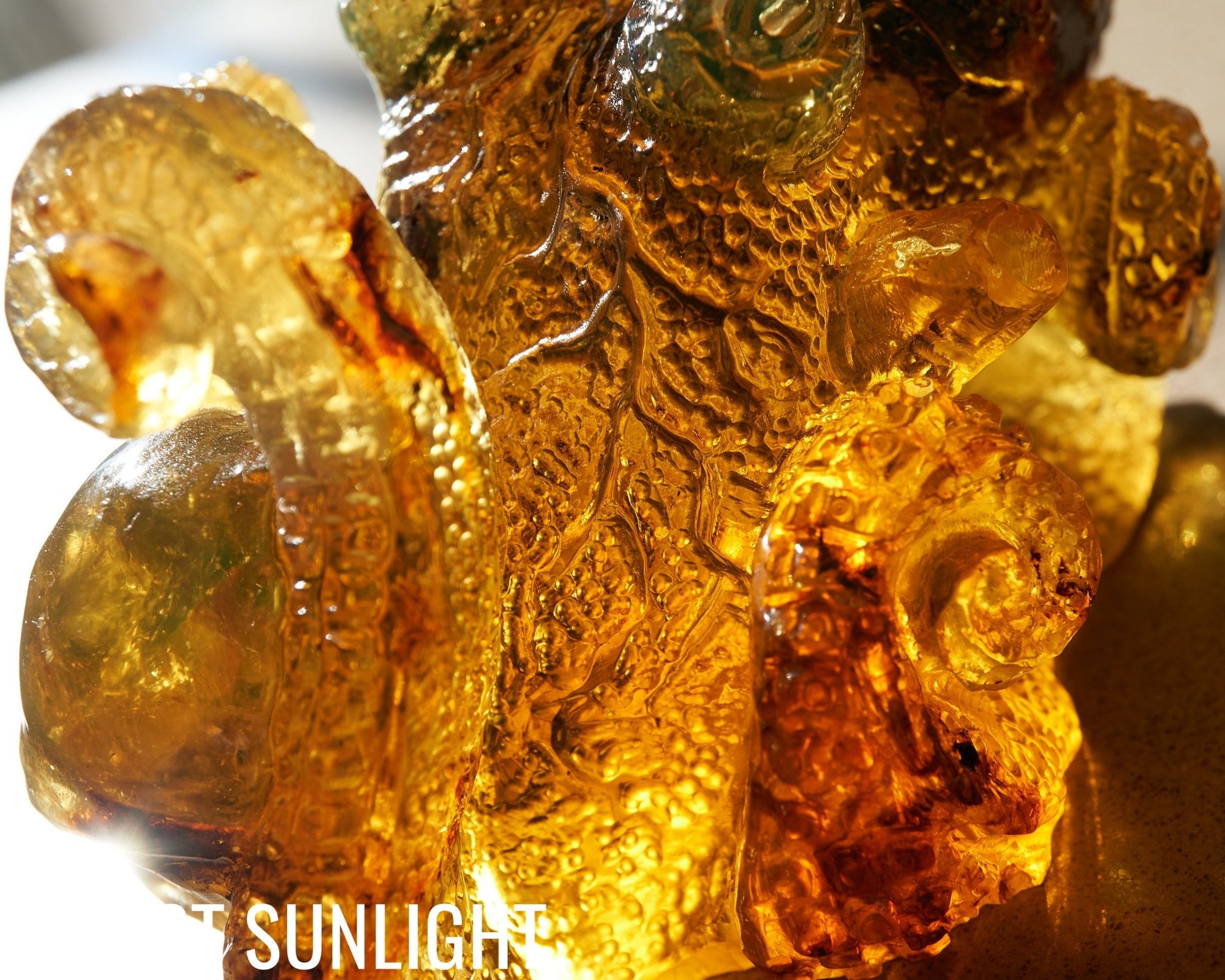 Octopus and Skull Carving Green Amber Dominican