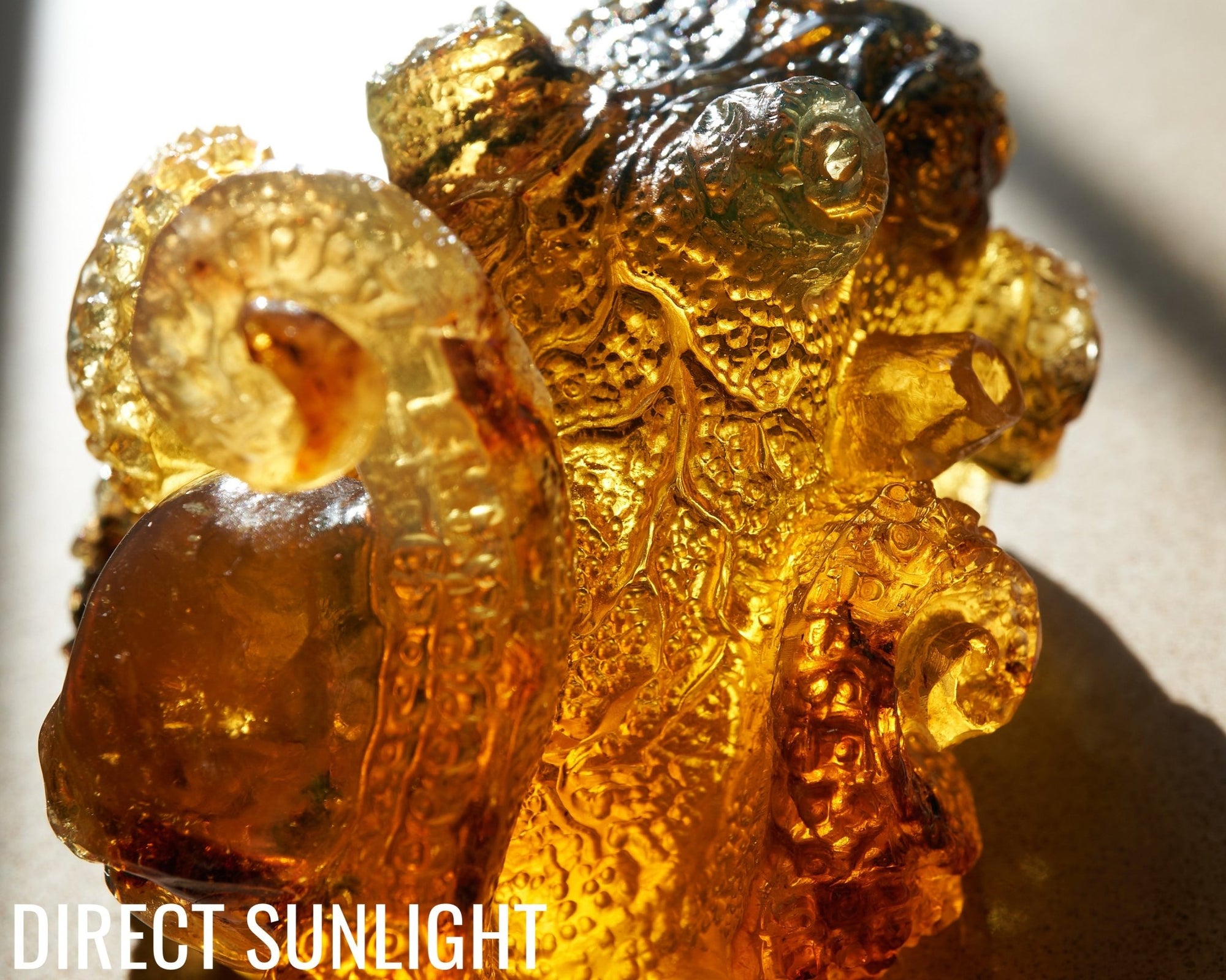 Octopus and Skull Carving Green Amber Dominican - Larimar Creations