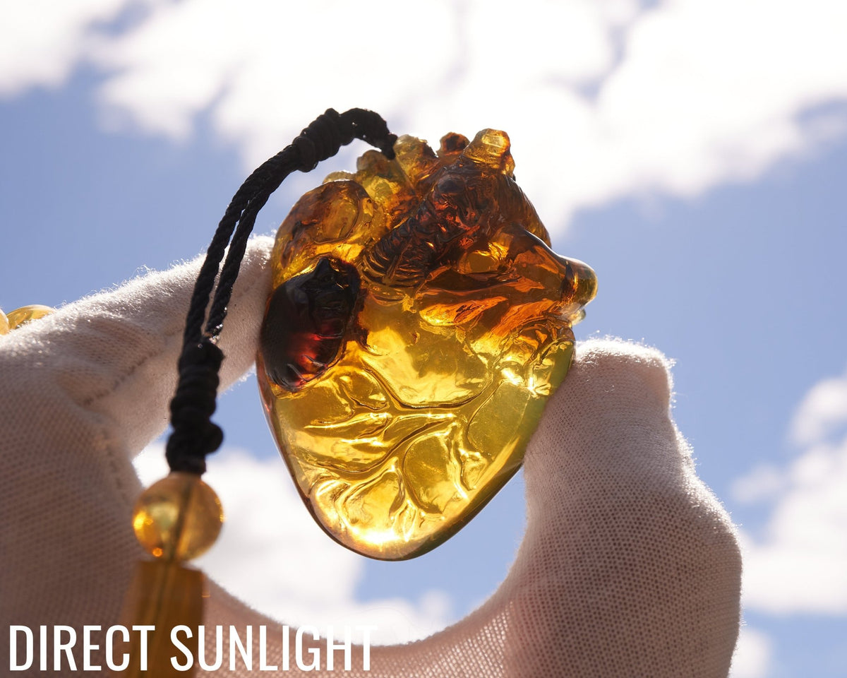 Realistic Heart Necklace made in Dominican Amber, Anatomical Shape